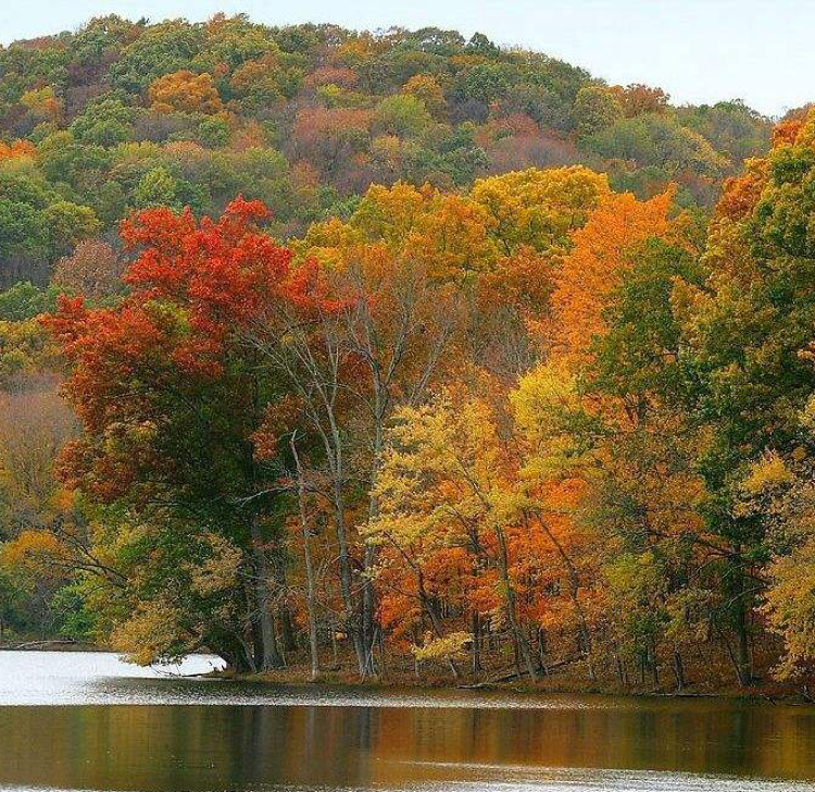 不求大富大贵但愿保值增值