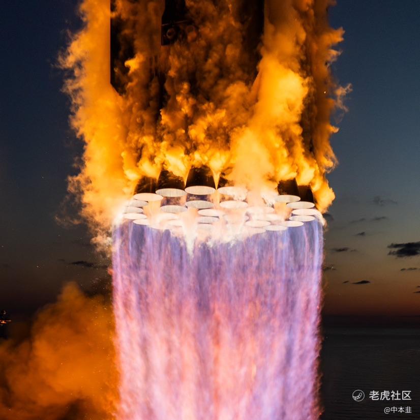 中本韭