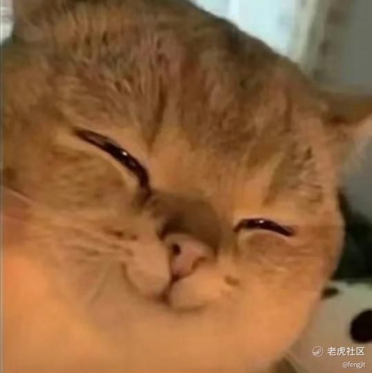 fengjit