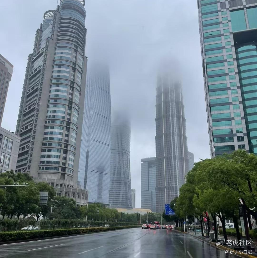 新手小白哦