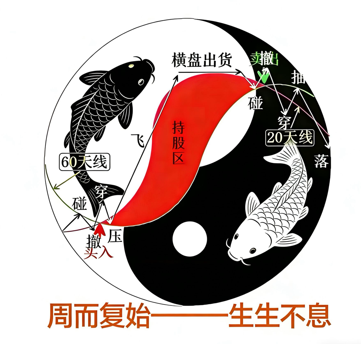 如来者本来如是