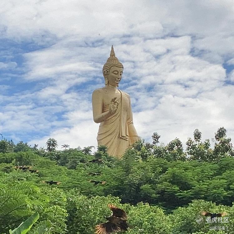 等风来了