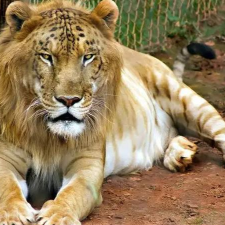 一起走过的三里坡