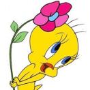 tweety