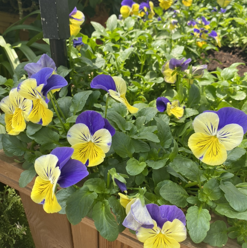 你是个很爱很可爱很