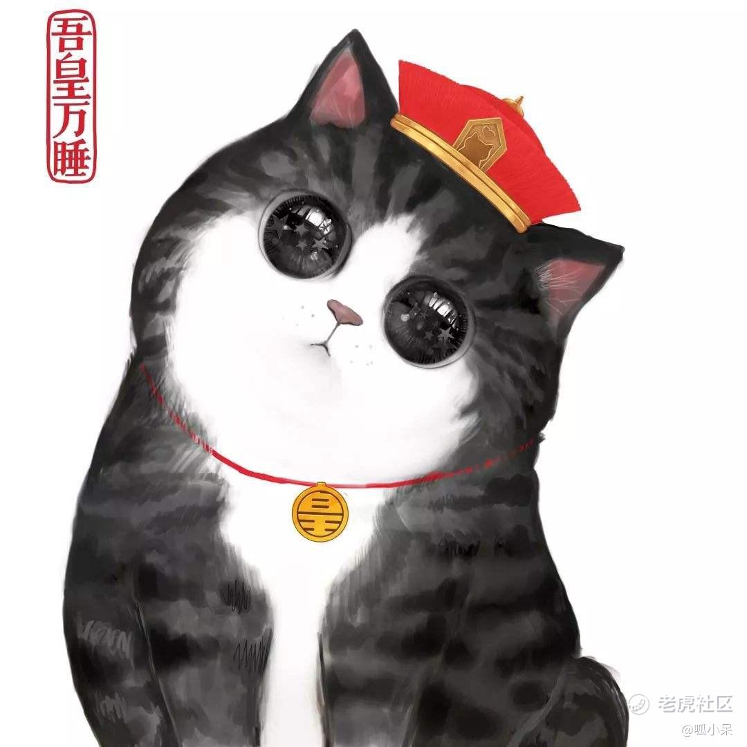呱小呆