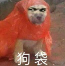 大号韭菜喵
