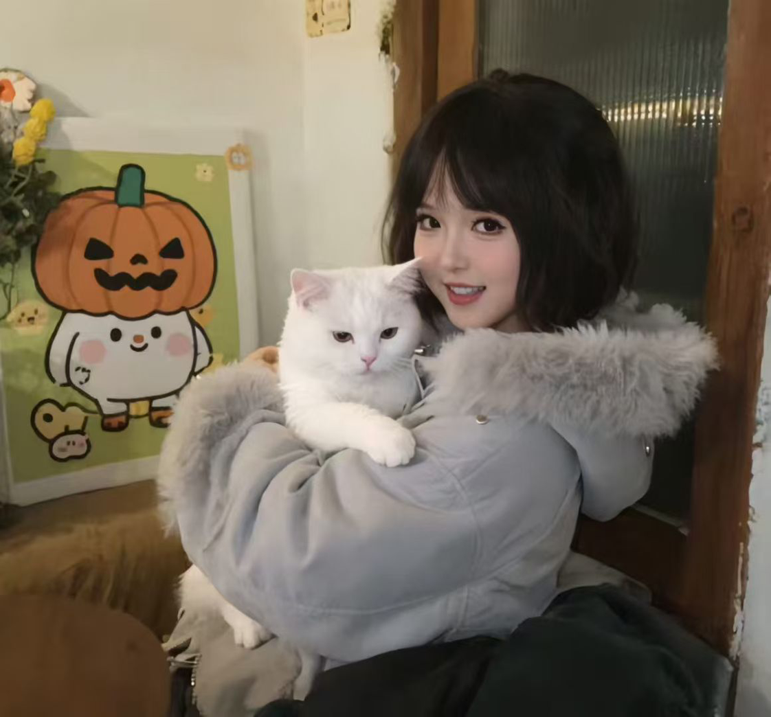打工赚钱养猫