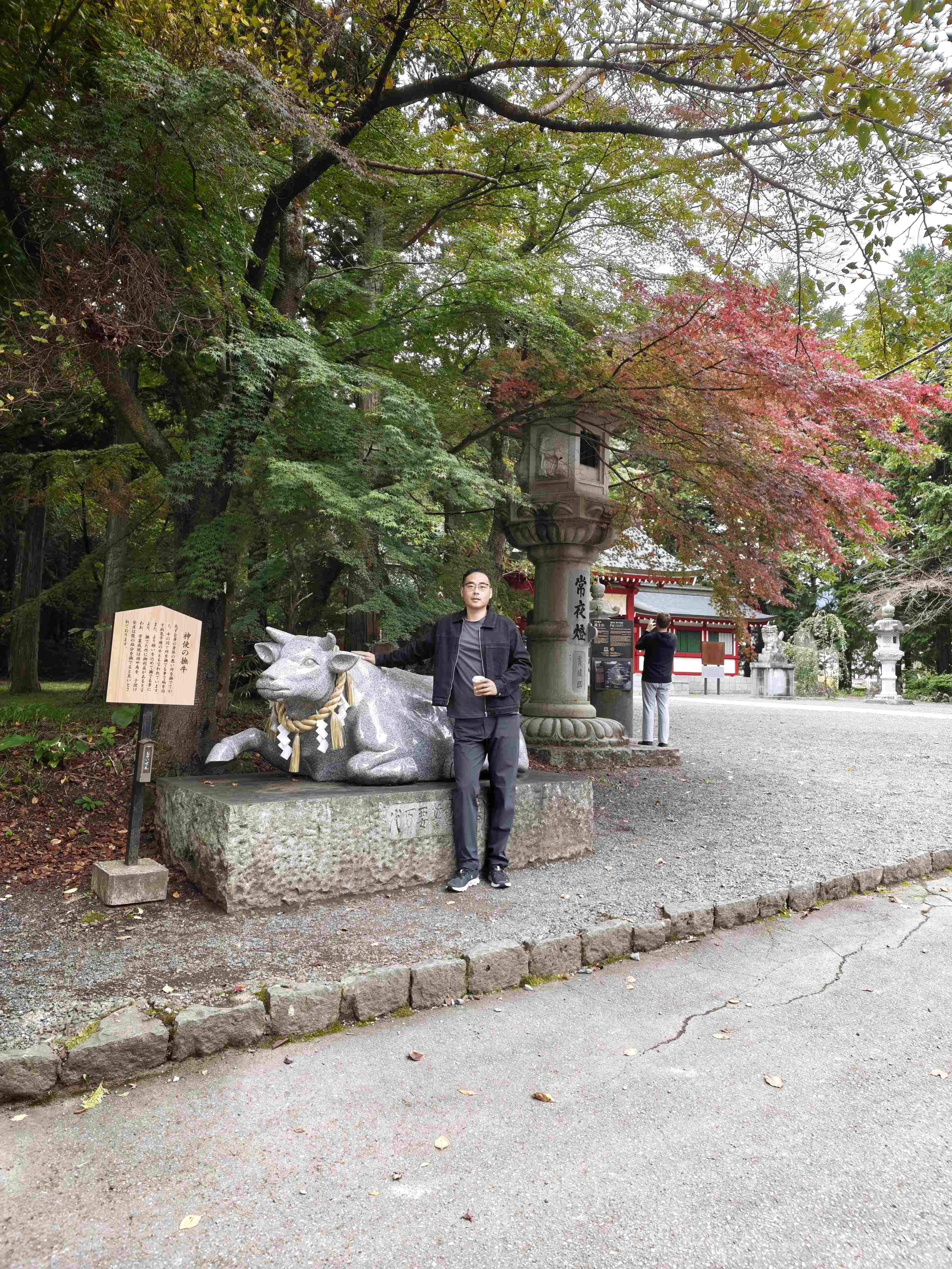 钝感价值投资者