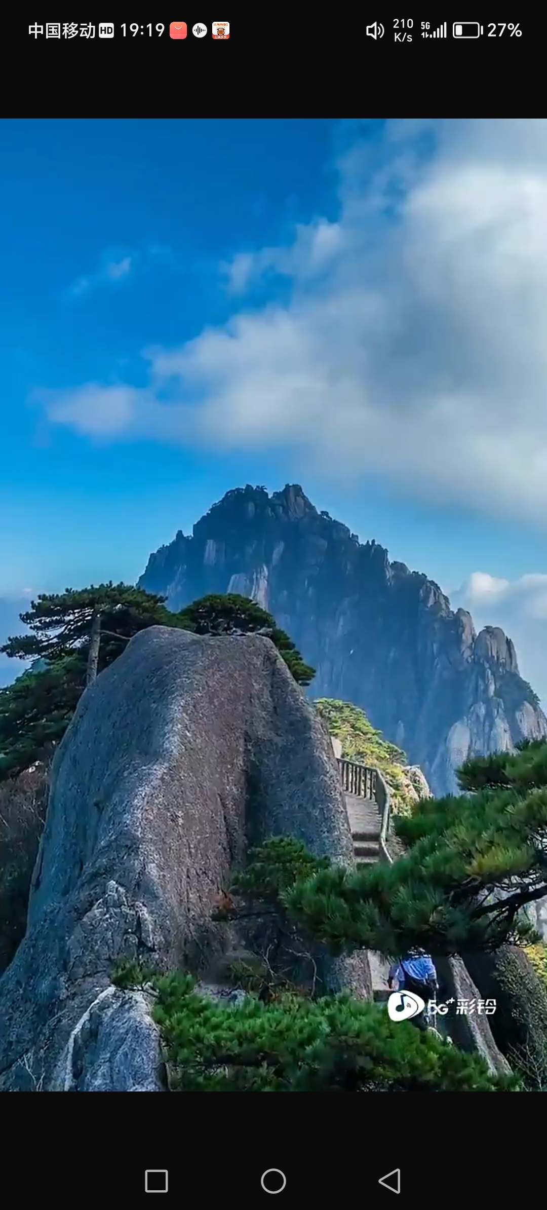 人车生活