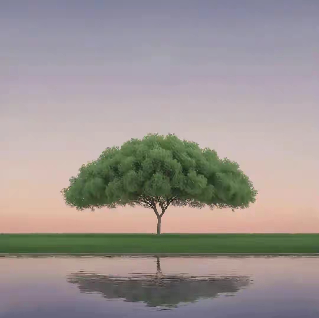 WanderCosmos
