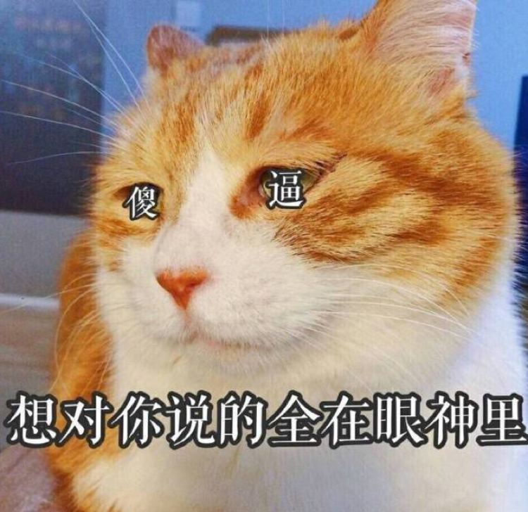 帅集集