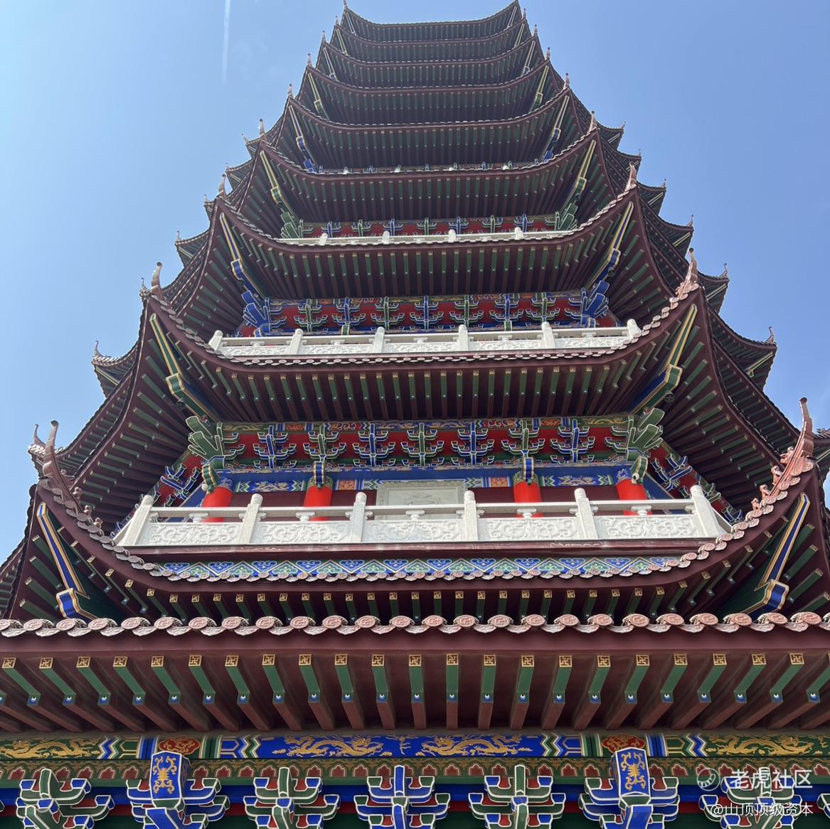 期权老狗