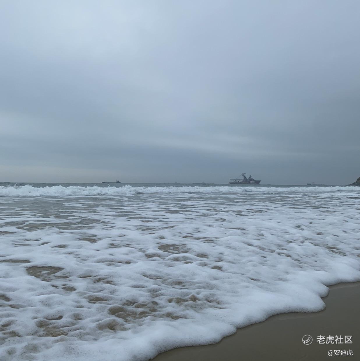 安迪虎