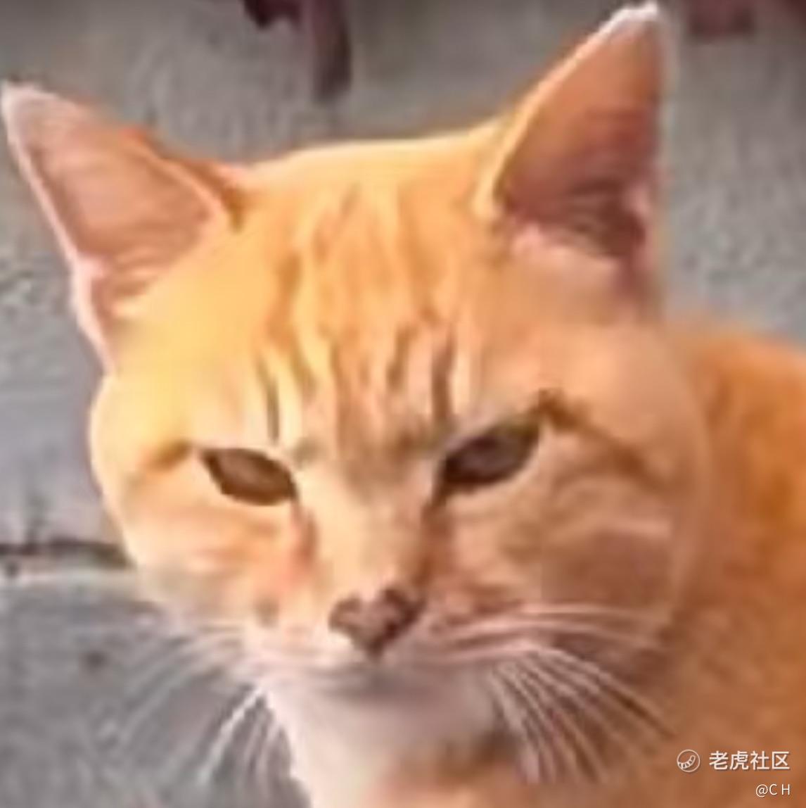 C H