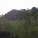 一路向前 天天向上