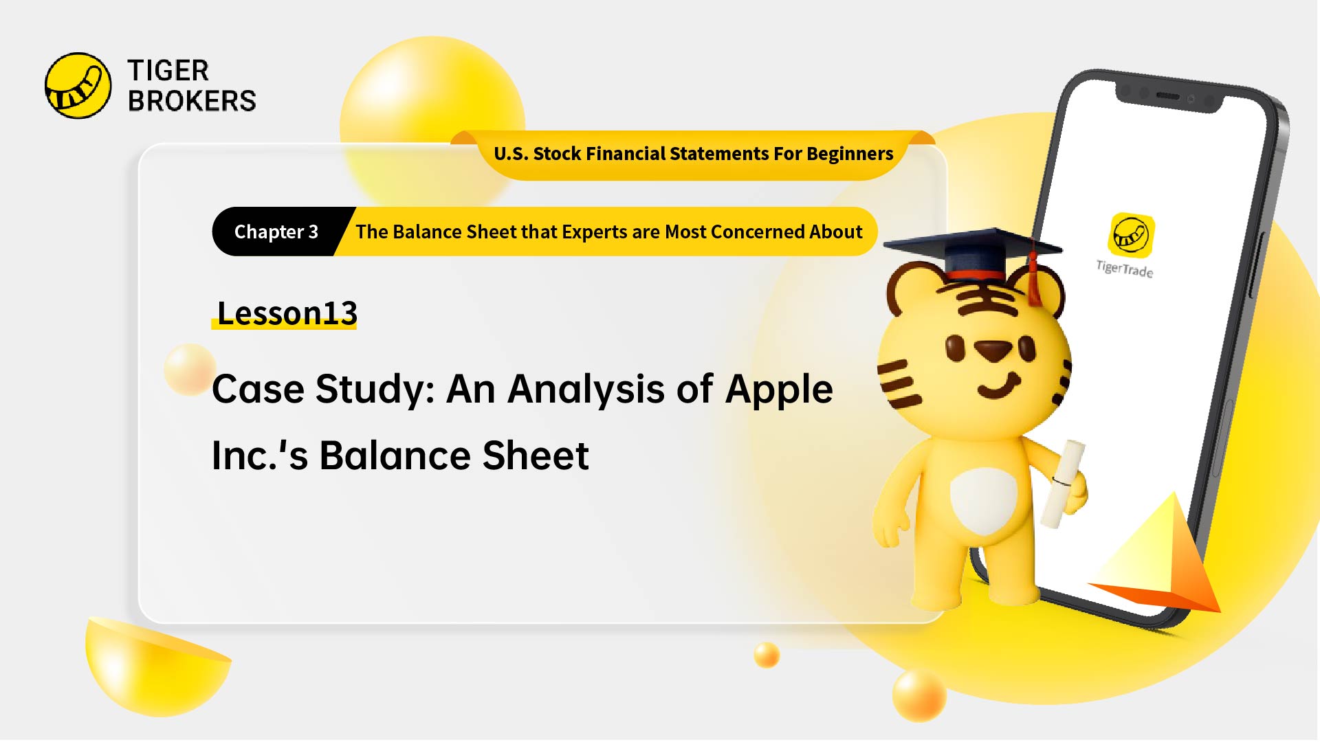 Lesson13 : Case study--Apple Inc's balance sheet