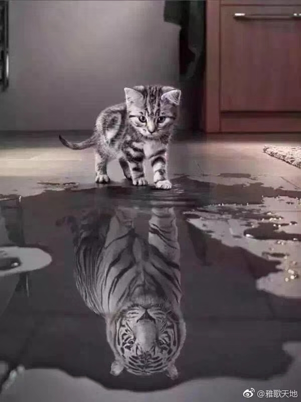 体验装