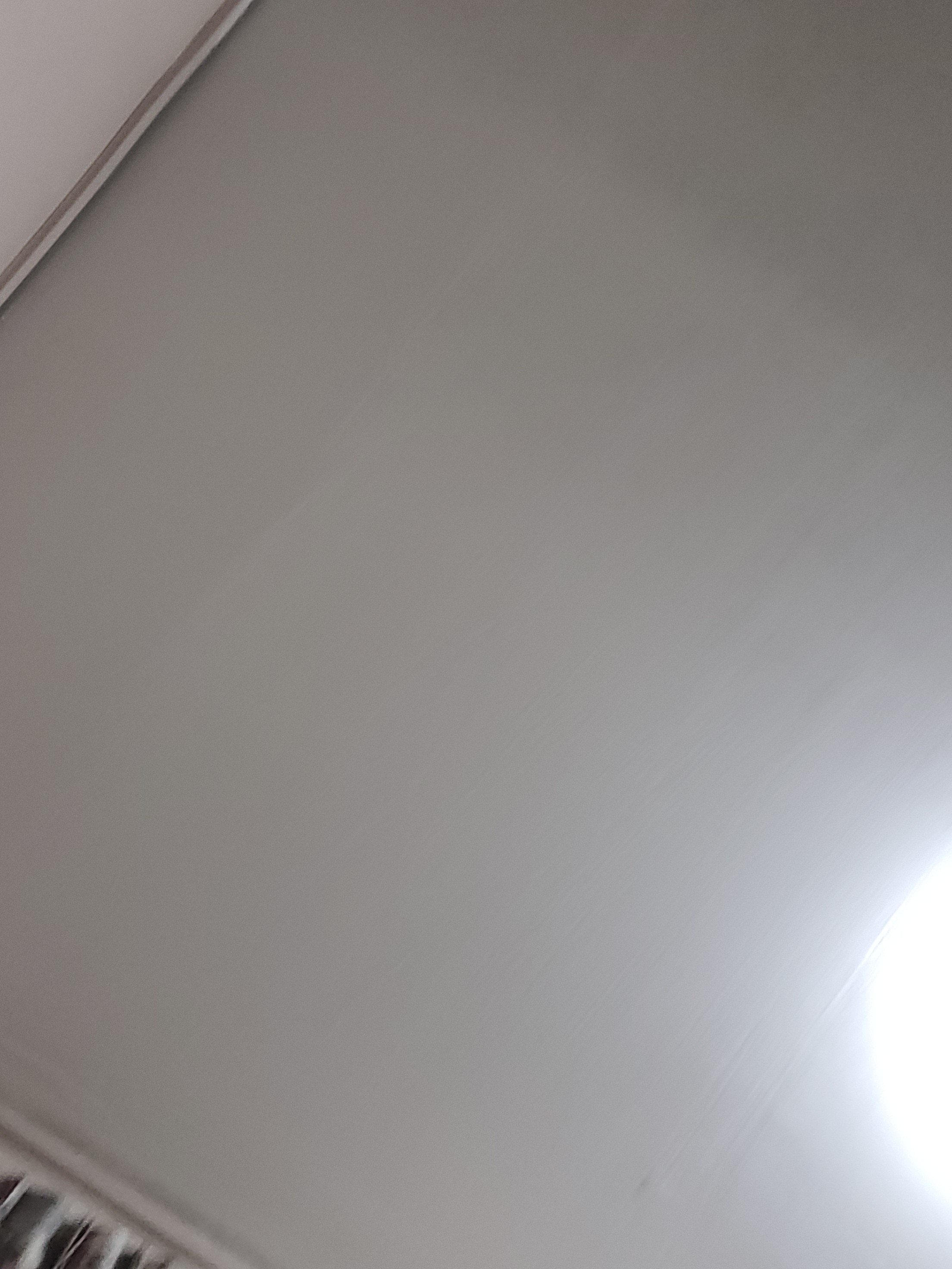 whalesun