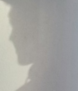 半山腰上的里的Z