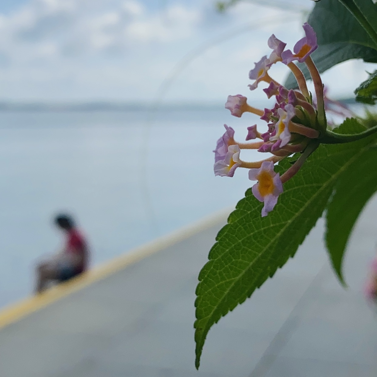 九寨飞流