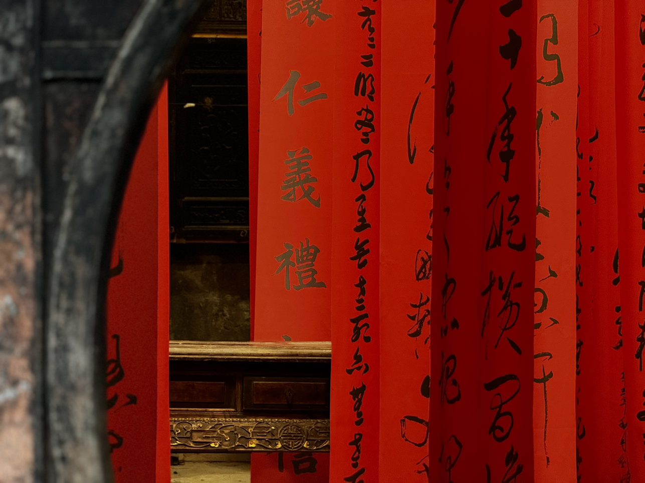 Dragon蕨根