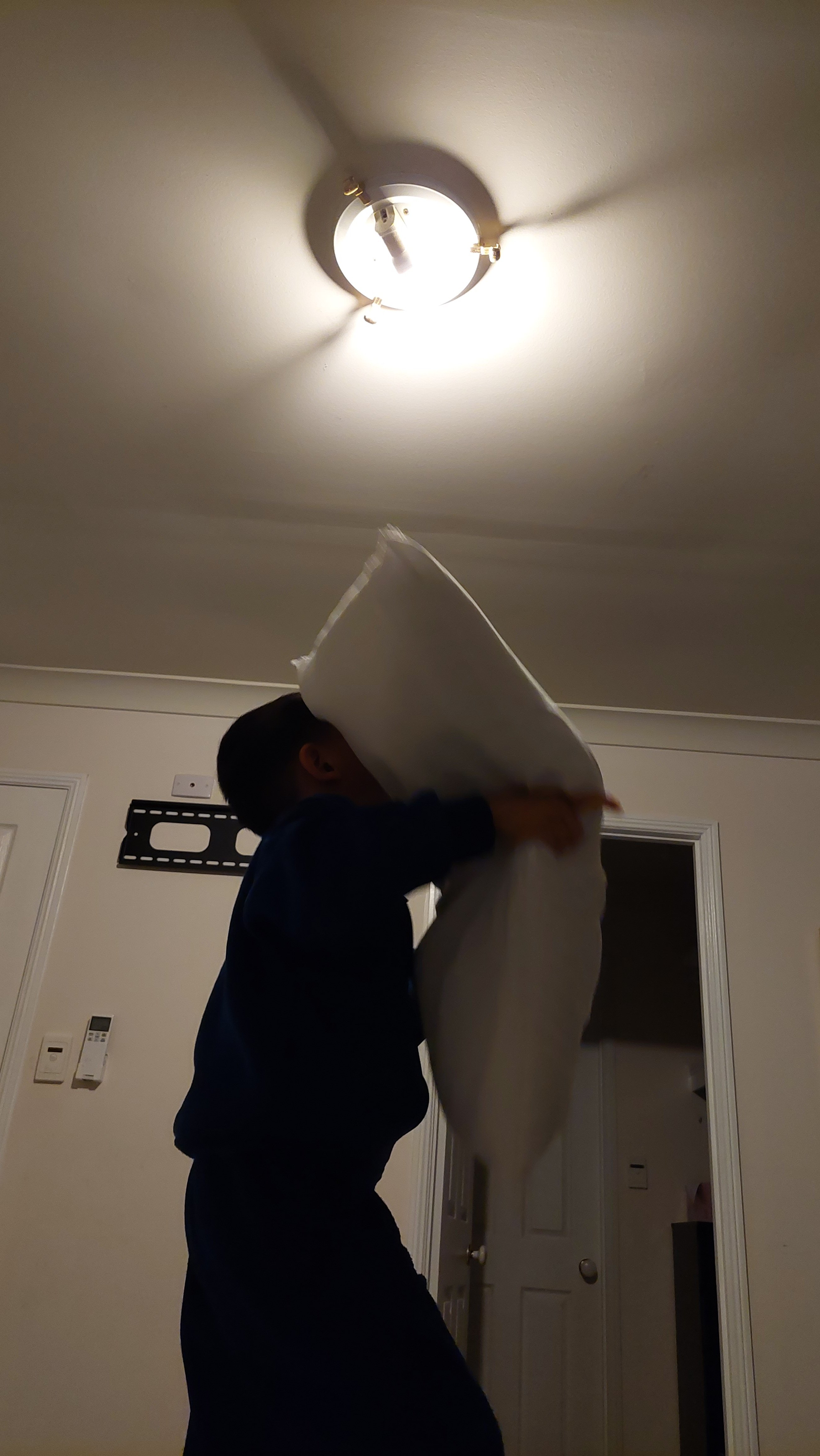 艾伦猴
