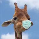 关舒元沐木yyyyy