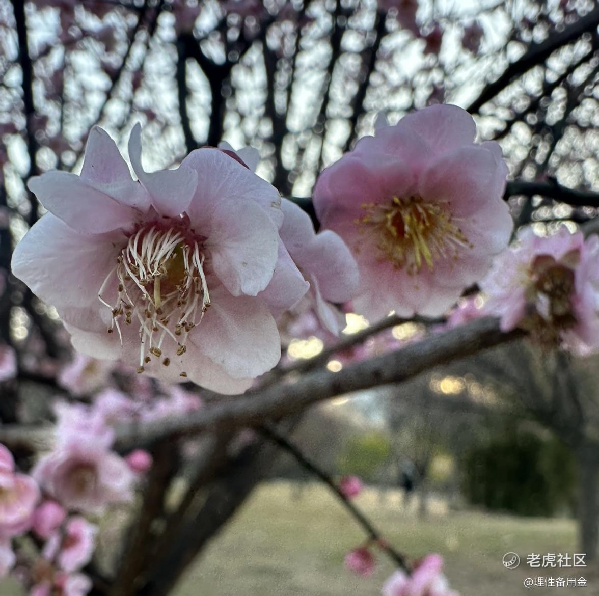 理性备用金