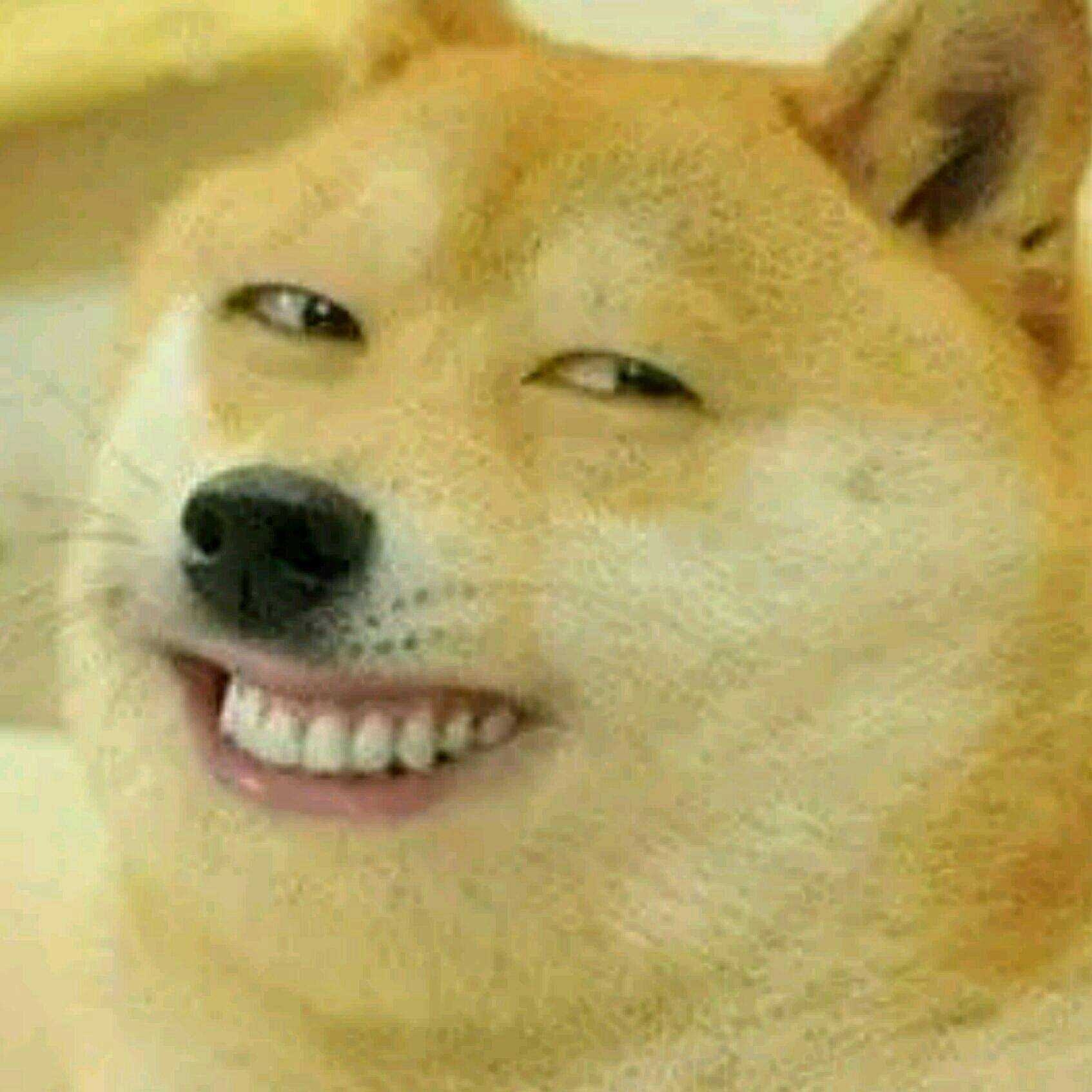 追涨杀跌骚操作不断
