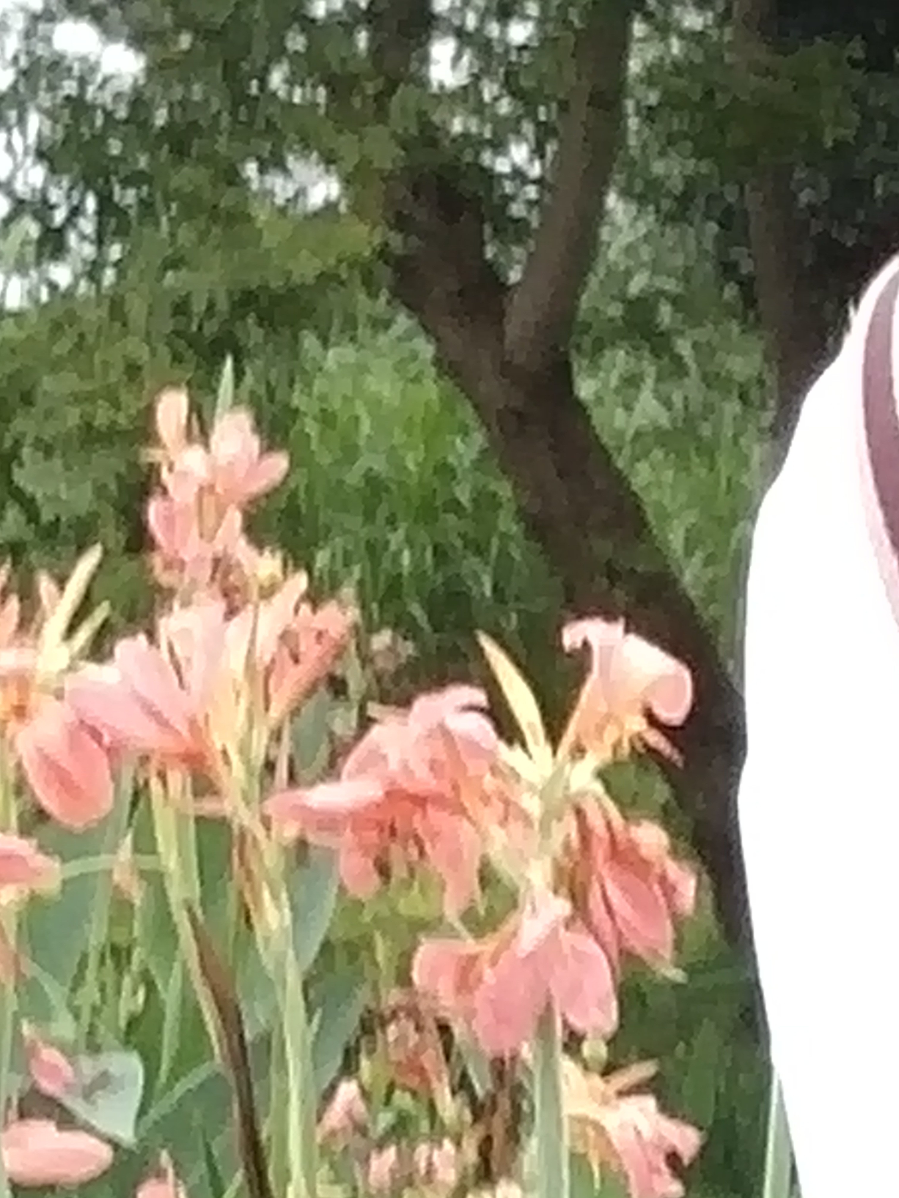 风一直在吹