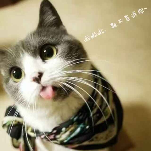 天天天天涨不停