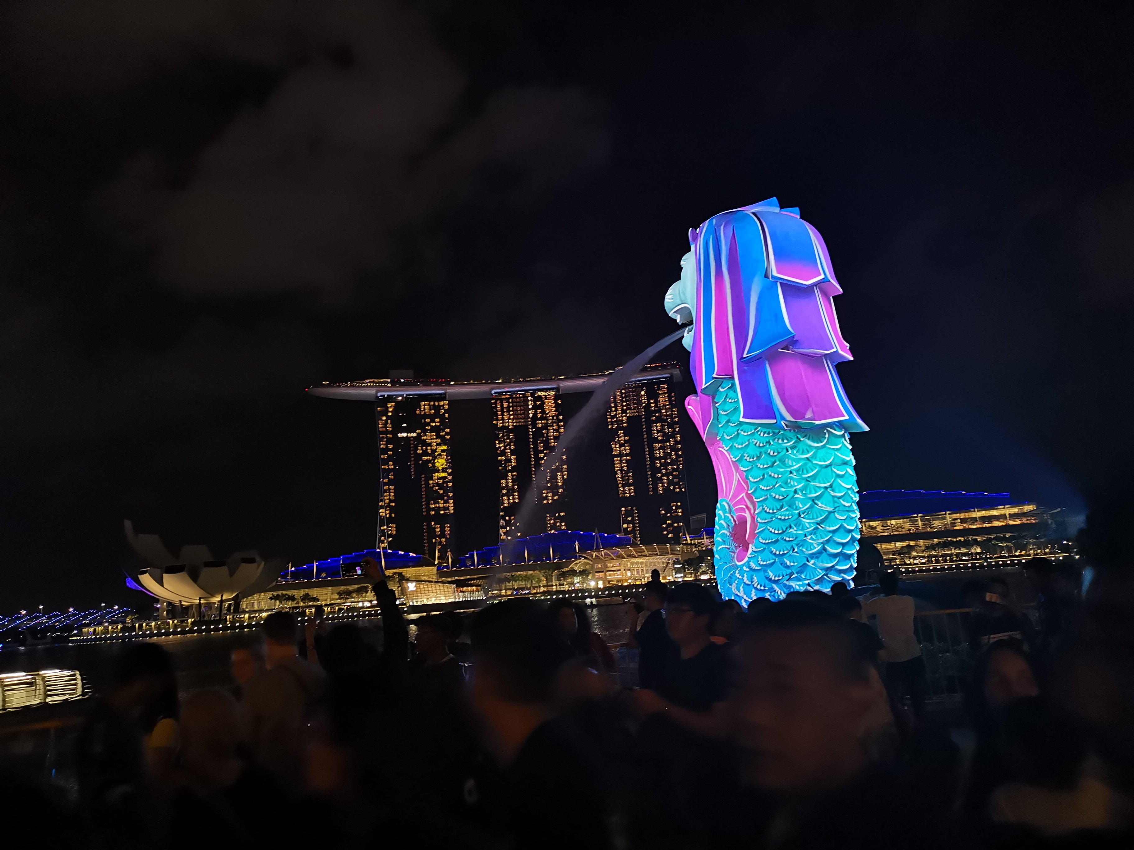 西红柿炒西葫芦