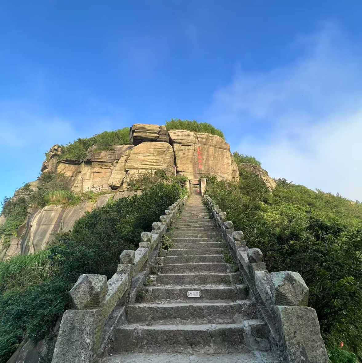 晨峰牛牛