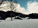 lucy_5229