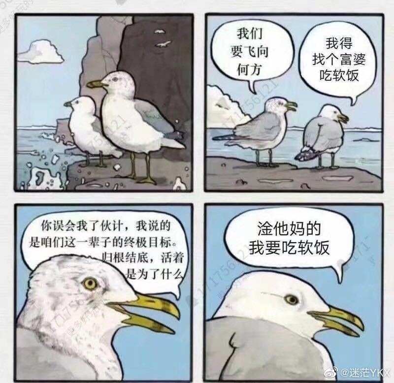 干练的芭比