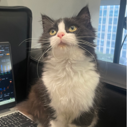 美股猎人USSTOCK