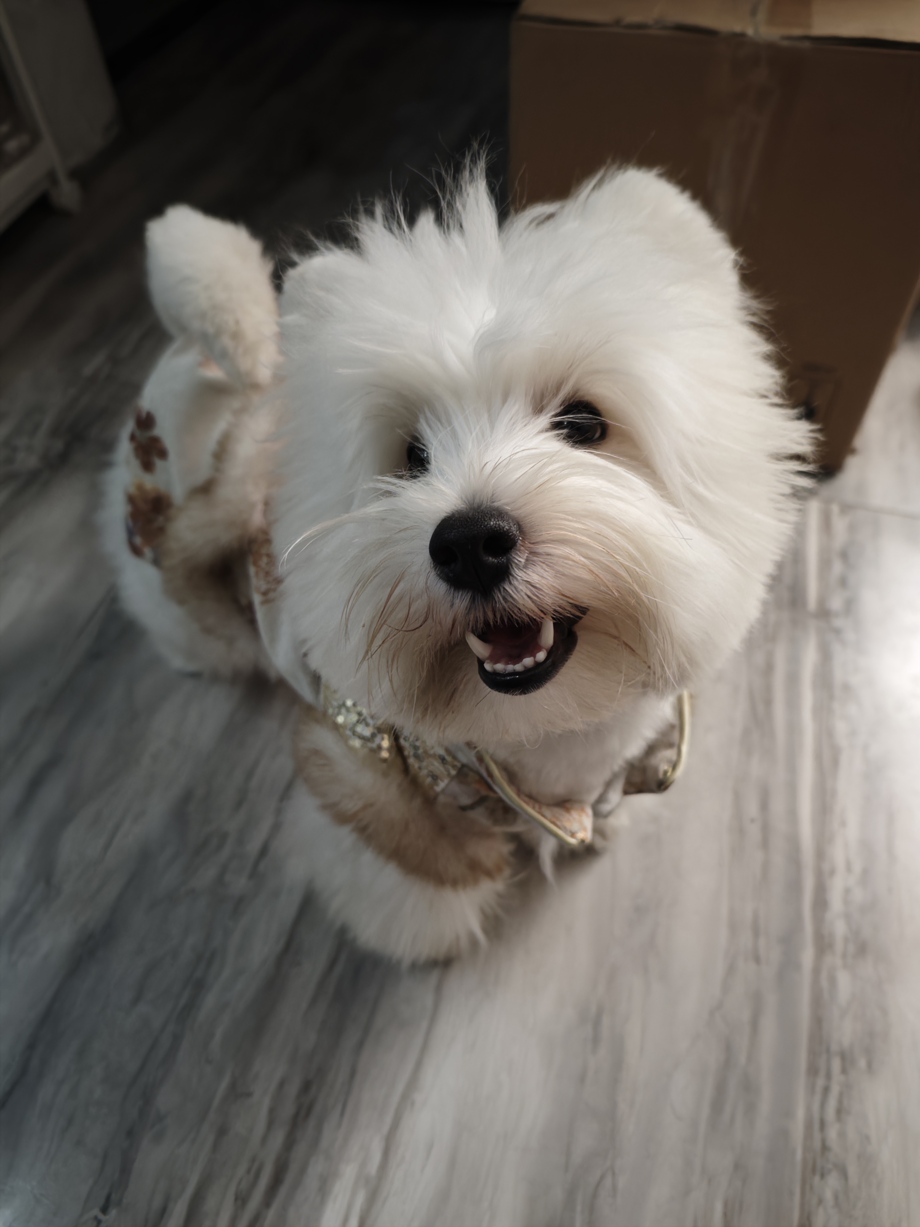 巴菲特纳斯达克