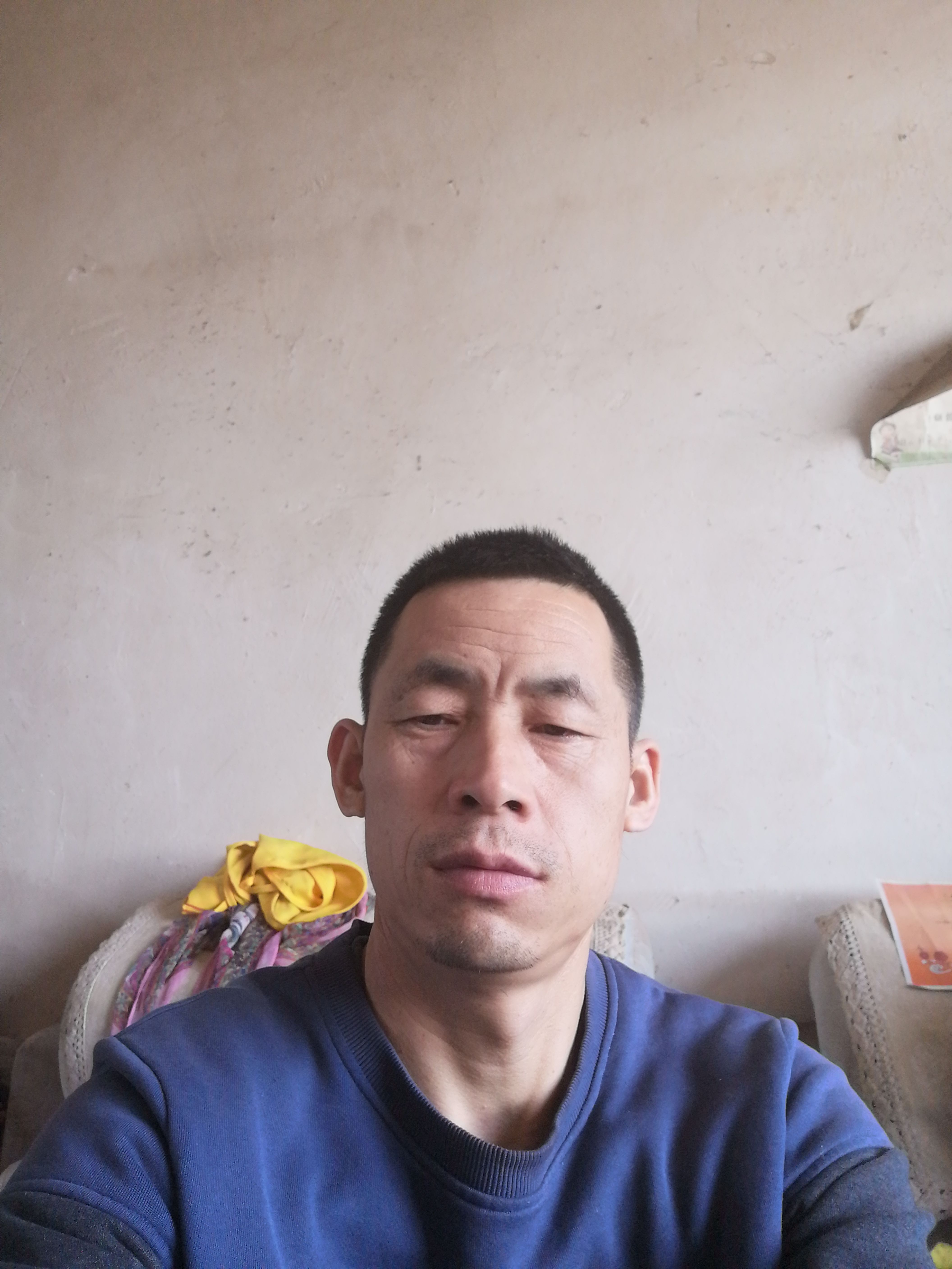 岁虎平安