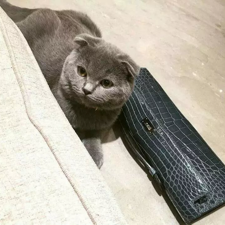 一段佳话不可谈