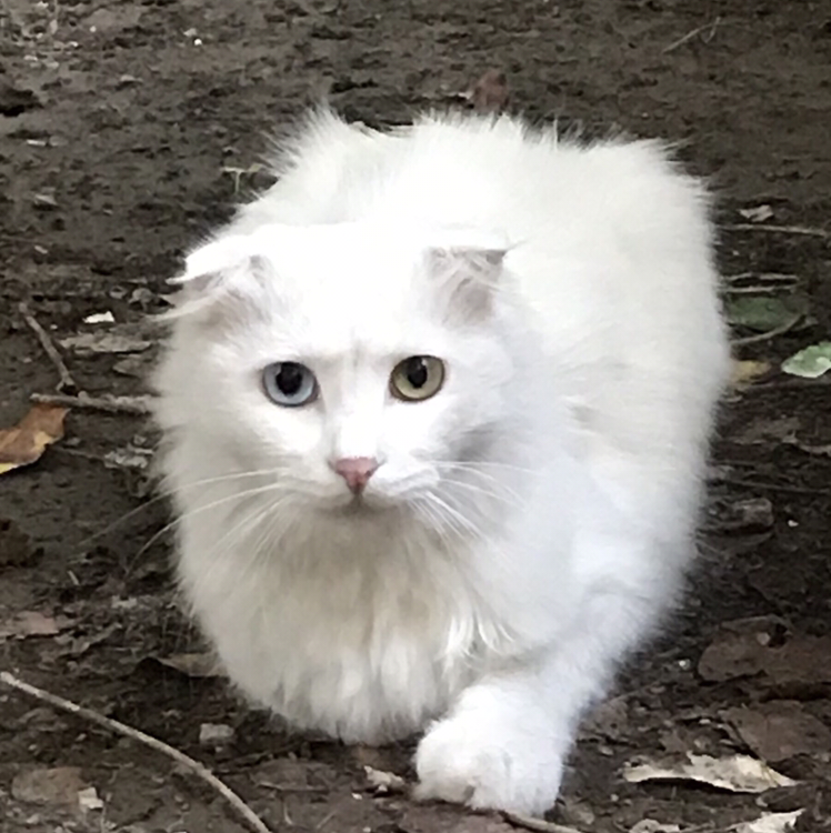 雨宝天华