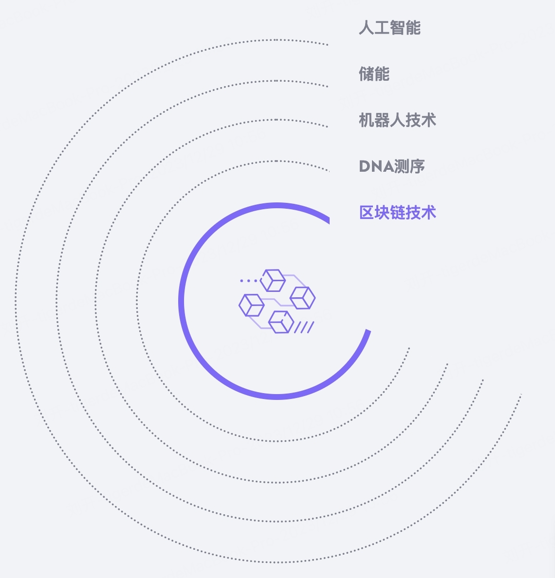 木头姐和她的ARK 神舟- 老虎国际