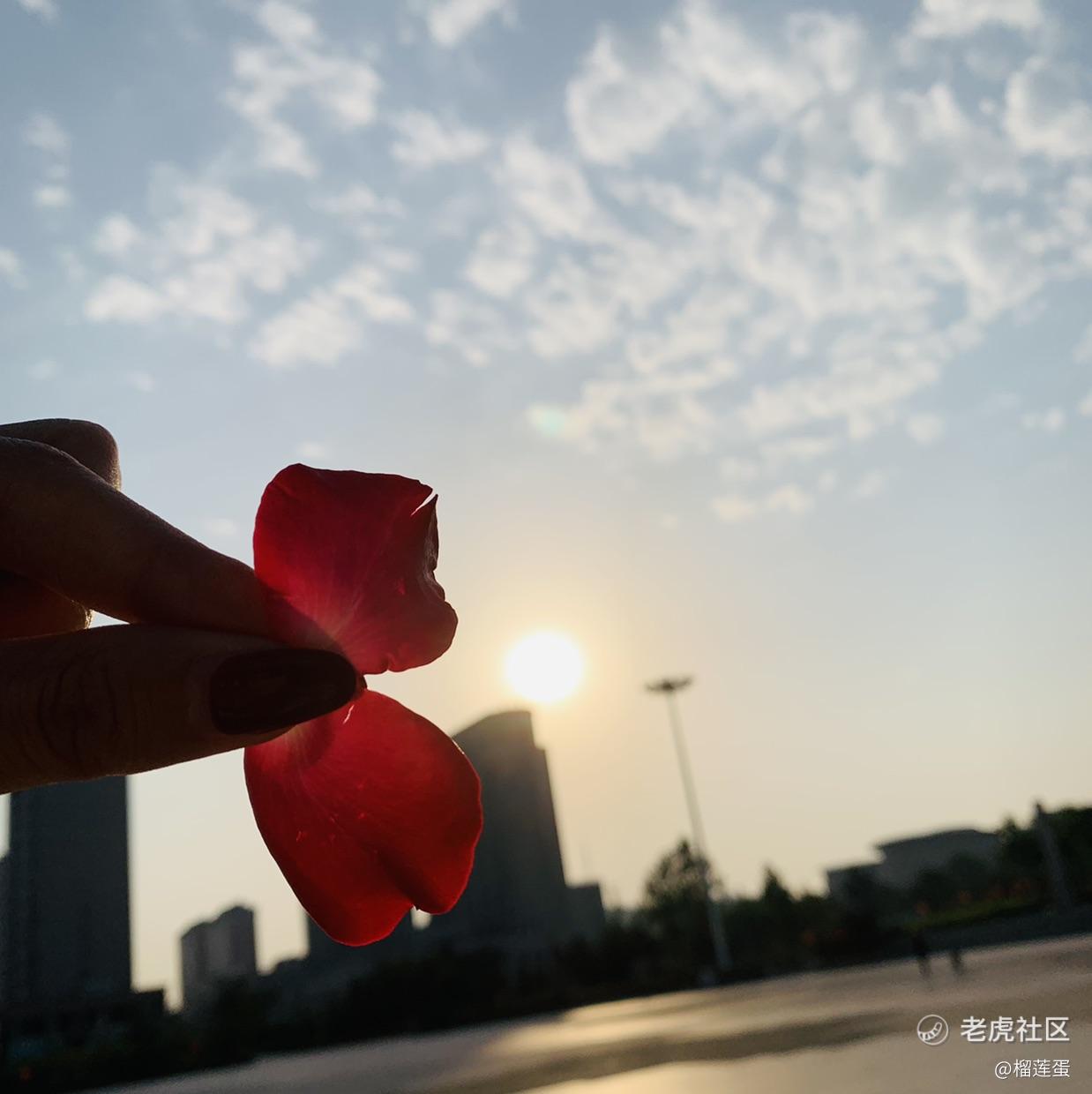 堇年585818