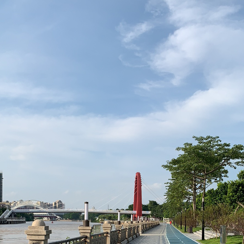 黄狮虎0