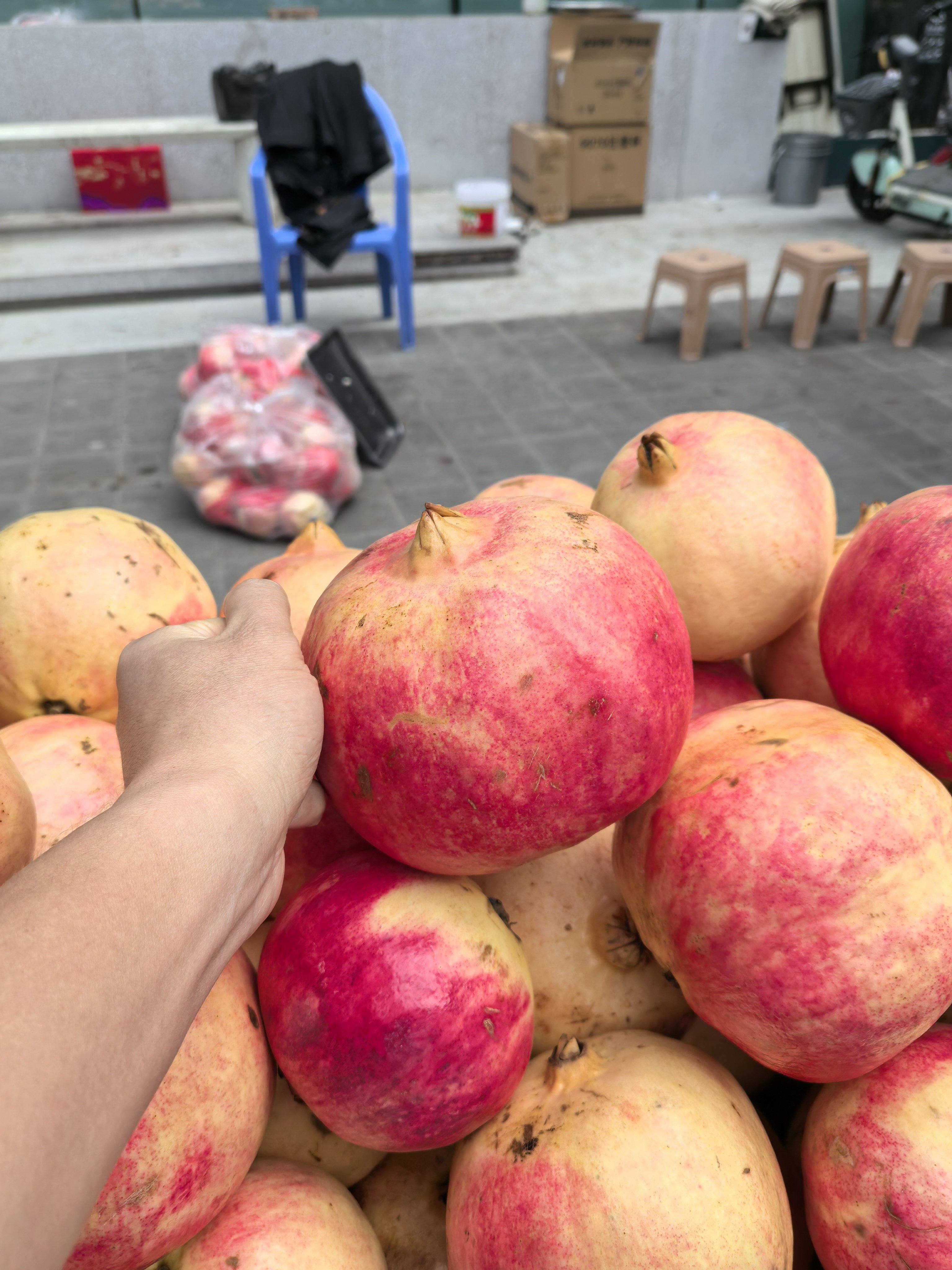 芭菲军