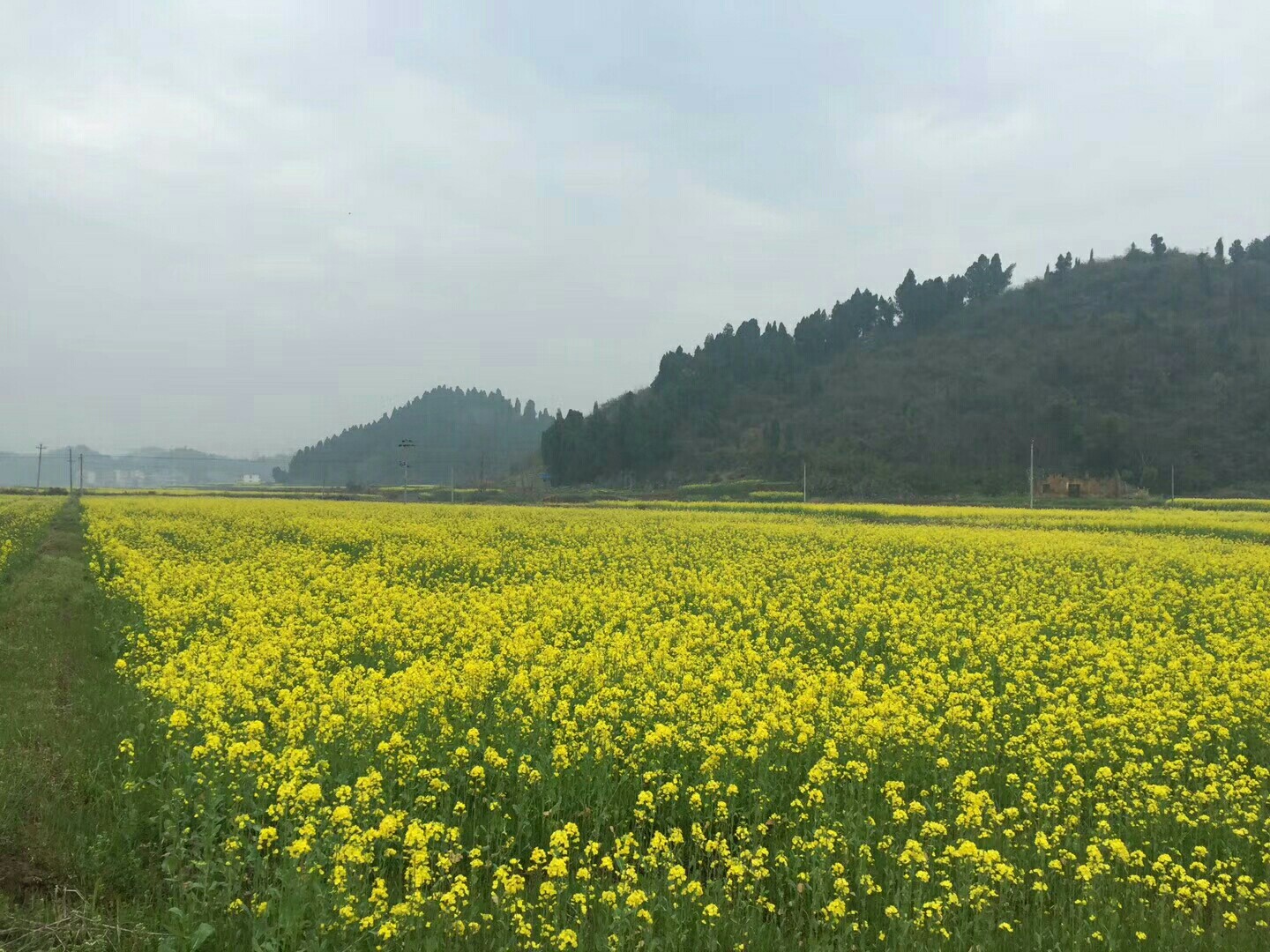 小虾米闯江湖