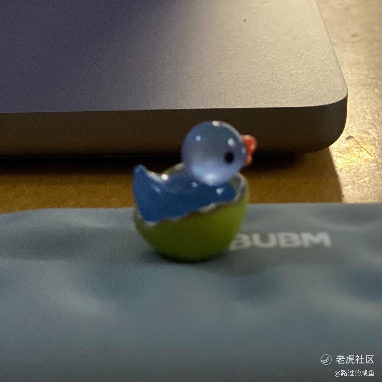 路过的咸鱼