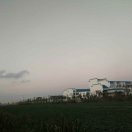 艳阳旺