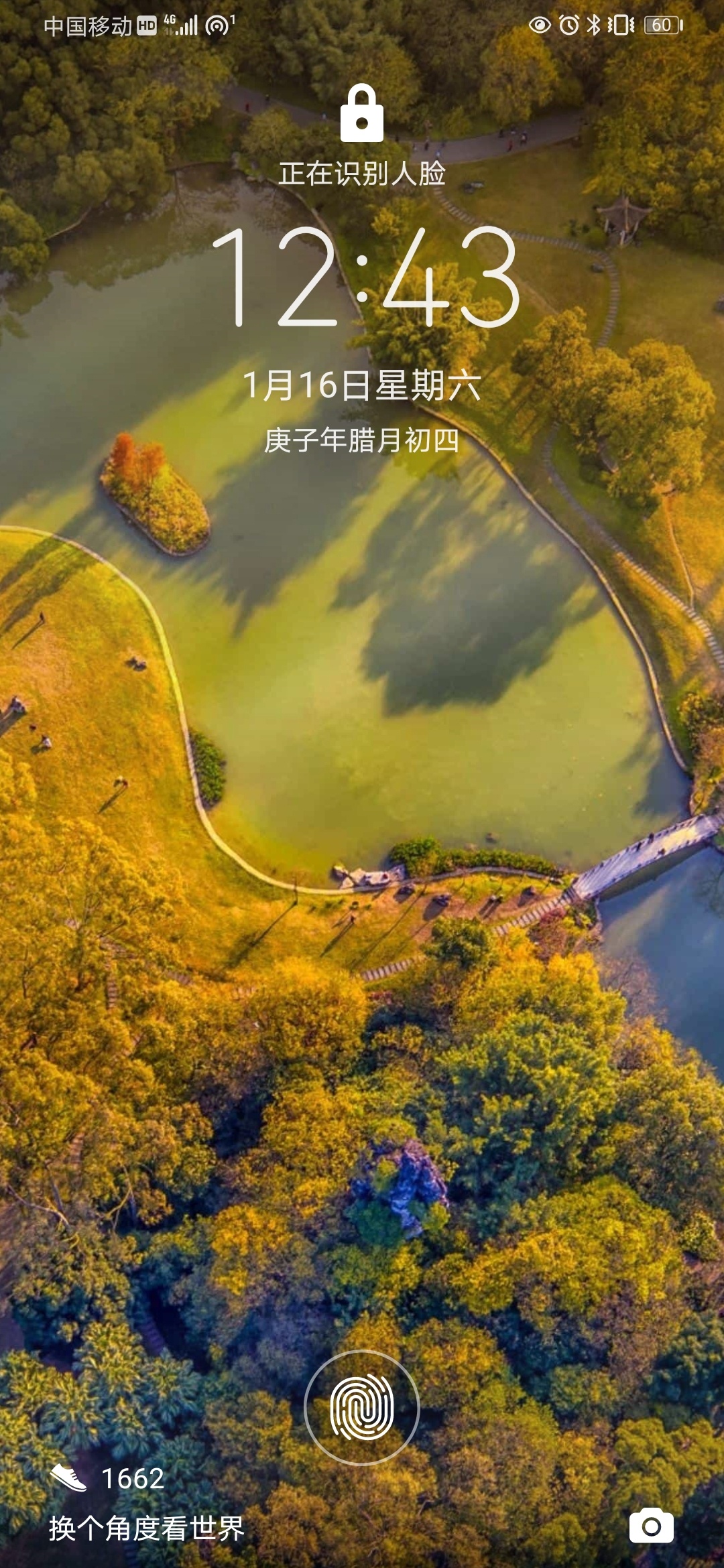 俊俏的菲利普