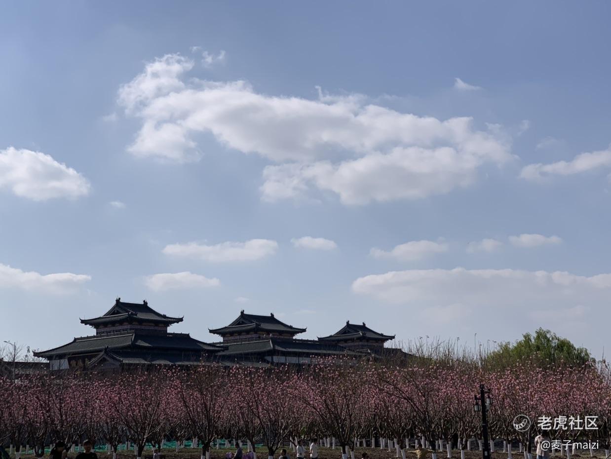 麦子maizi